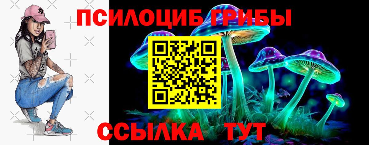 Улан-Удэ  Галлюциногенные грибы Cubensis  Галлюциногенные грибы ЛСД  Вход с VPN 